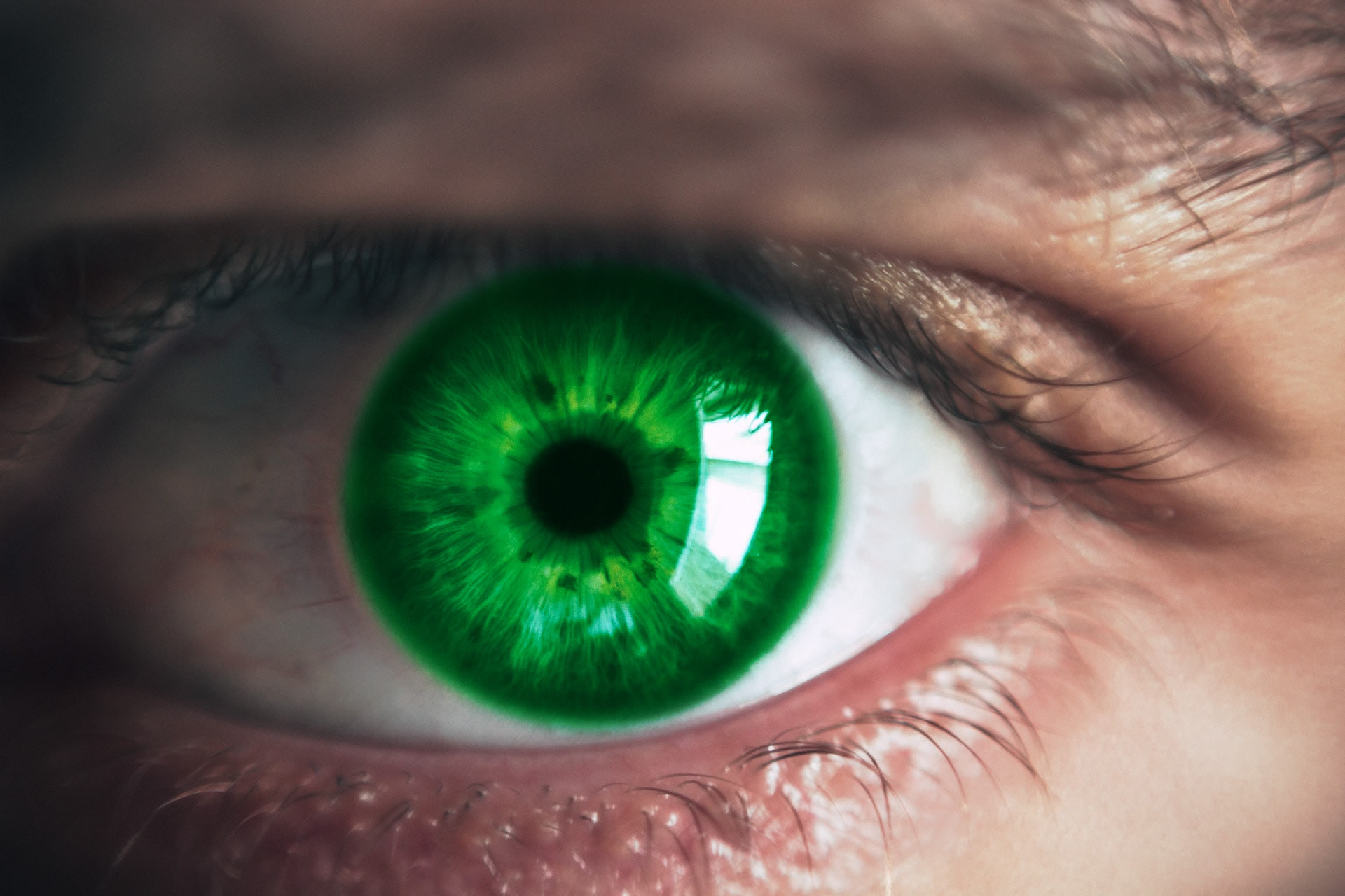 Blickpunkt - Auge Iris