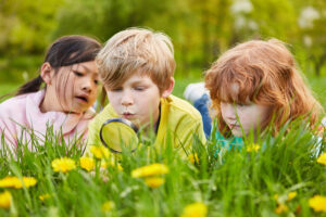 Junge und zwei Mädchen entdecken die Natur