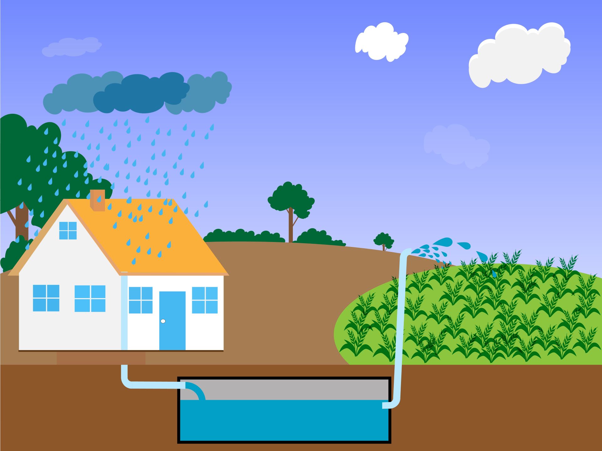 Illustration zur Regenwassernutzung mit unterirdischem Tank und Gartenbewaesserung